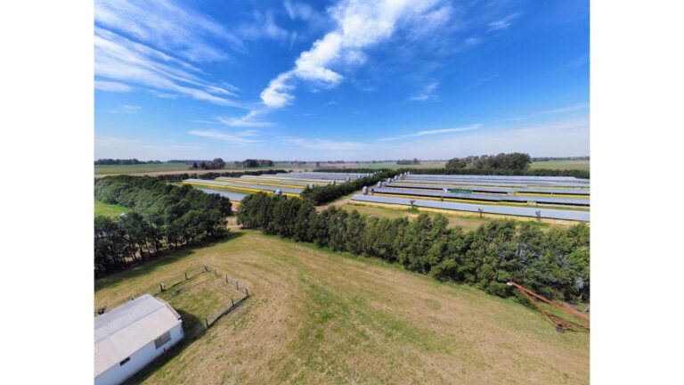 Consultar dirección – USD3.500.000 – Campo – en Venta