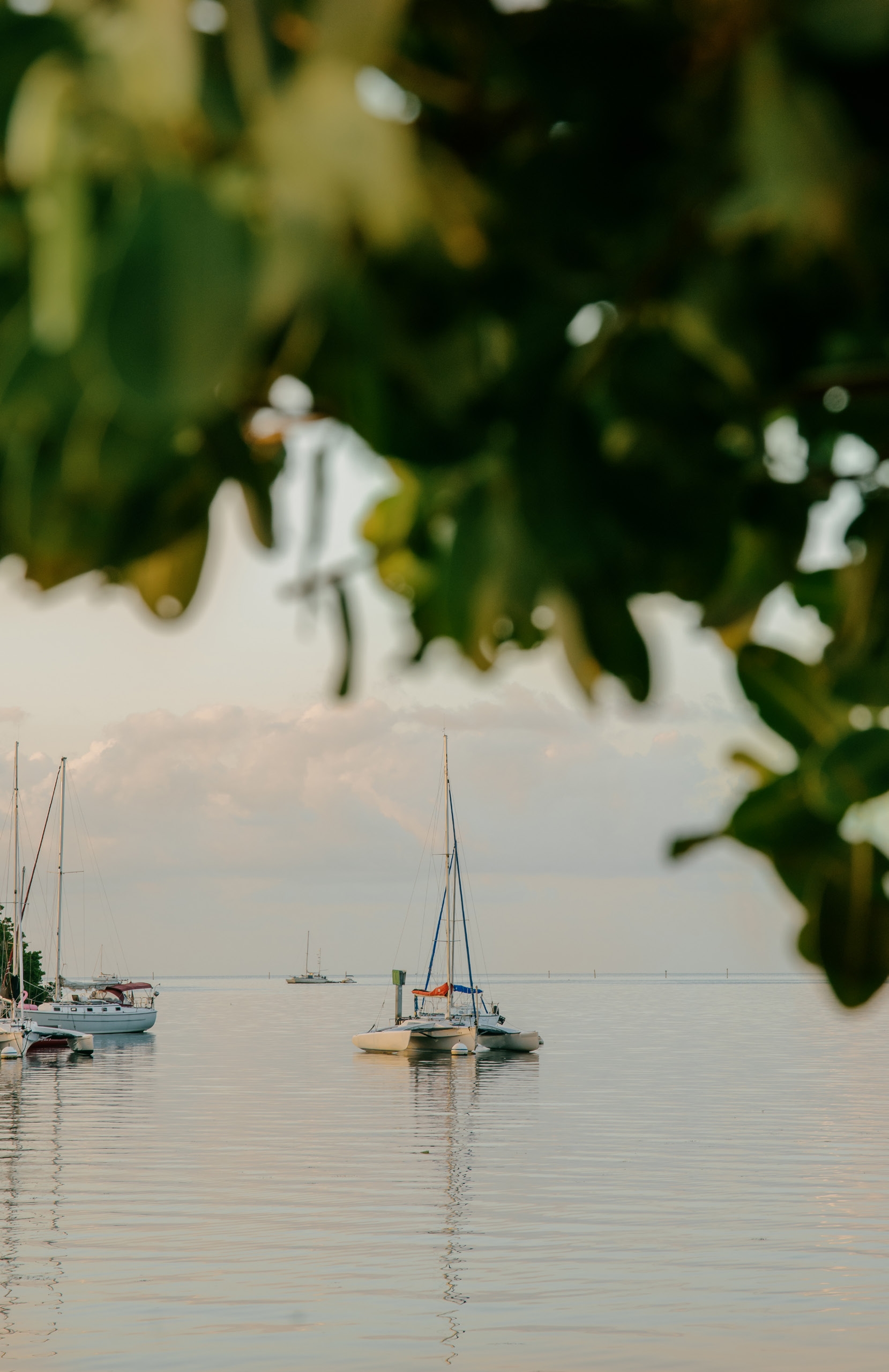 FOUR SEASONS Private Residences Coconut Grove